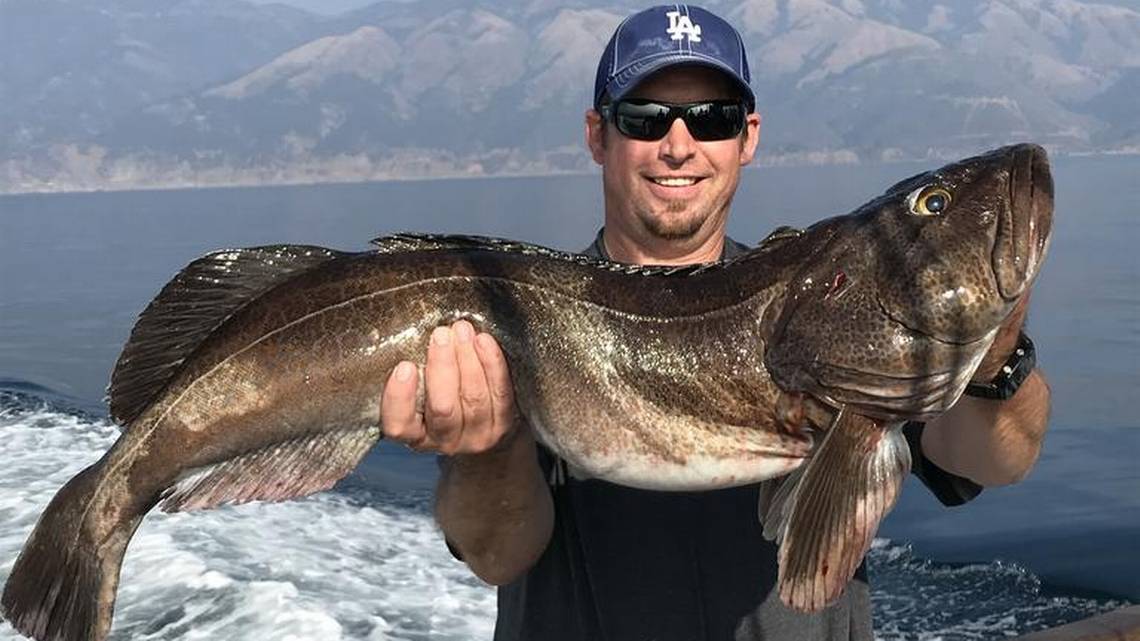 Best Fish Finder Under $200 The Critter Depot Best Fish Finder Under $200 The Critter Depot