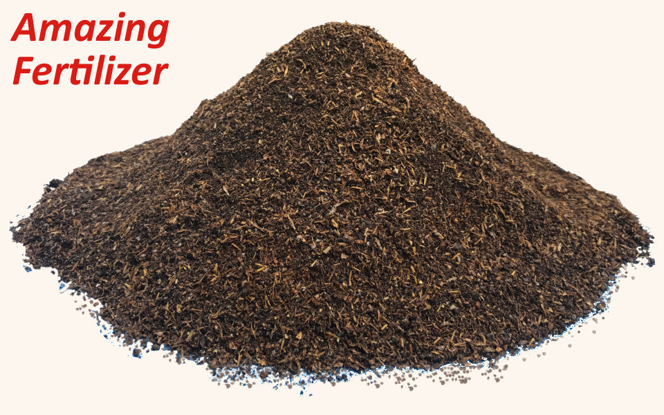 Nutritional Benefits of Black Soldier Fly Larva Frass - Critter Depot