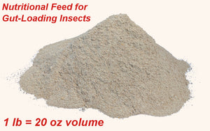 What To Feed Your Crickets For Gut-Loading Benefits