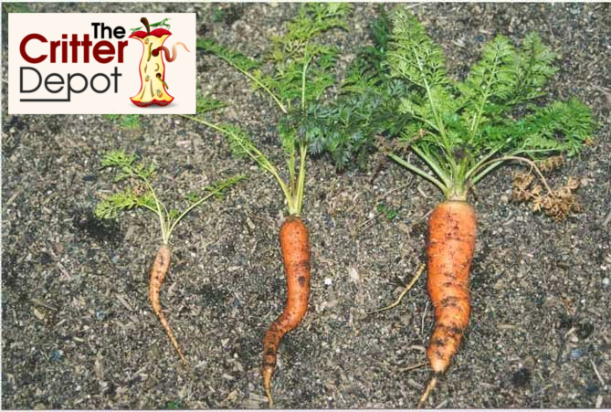 Worm Castings For Sale - The Benefits Of Worm Castings Lowes