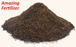 Black Soldier Fly Larvae Poop - Free Shipping