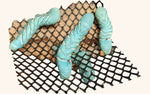 Hornworms for Sale - Free Shipping